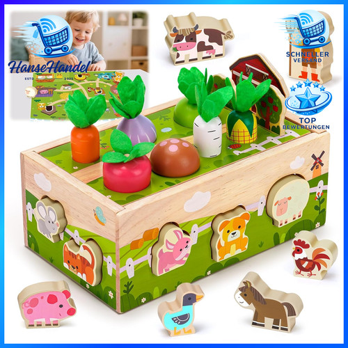 Montessori spielzeug jahr - montessori,